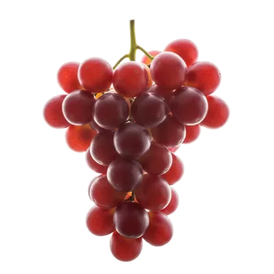 Imagen PNG para descargar